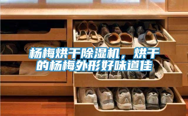 楊梅烘干除濕機(jī)，烘干的楊梅外形好味道佳