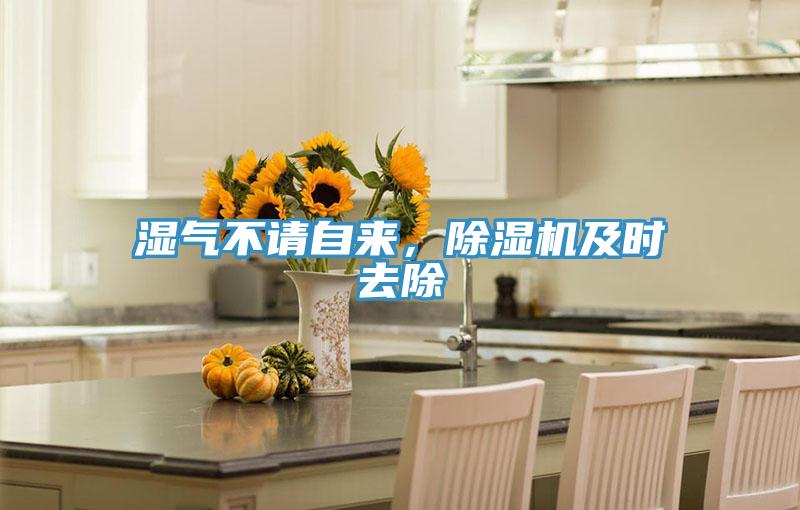 濕氣不請自來，除濕機及時去除