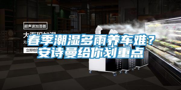 春季潮濕多雨養車難？安詩曼給你劃重點