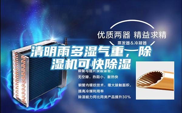 清明雨多濕氣重,除濕機可快除濕