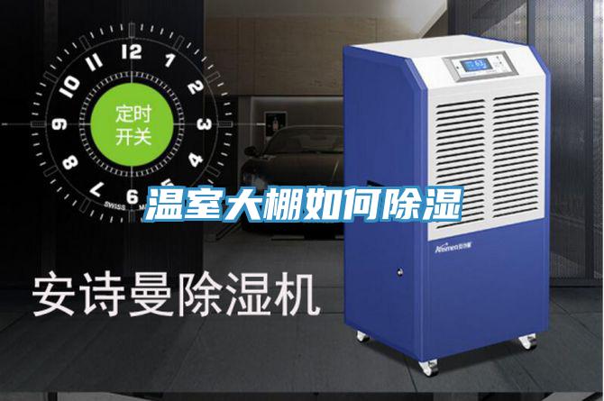 溫室大棚如何除濕