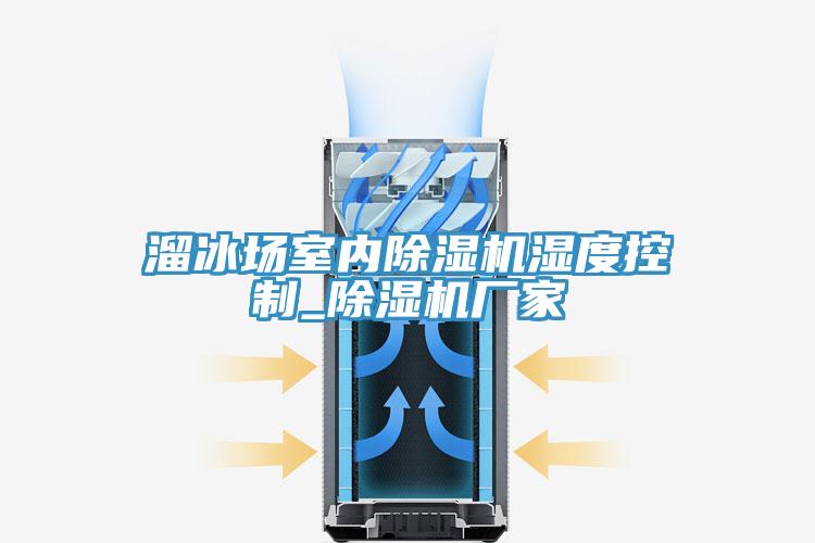 溜冰場(chǎng)室內(nèi)除濕機(jī)濕度控制_除濕機(jī)廠家