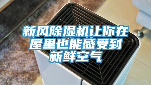 新風除濕機讓你在屋里也能感受到新鮮空氣