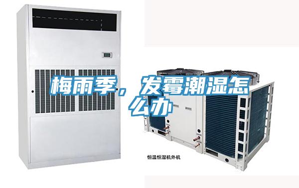 梅雨季,發霉潮濕怎么辦