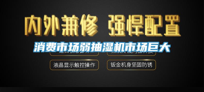 消費市場弱抽濕機市場巨大