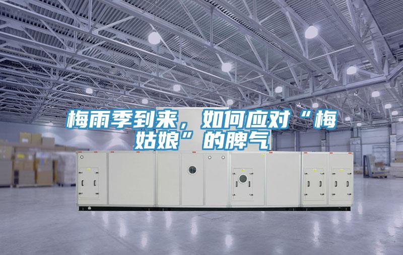 梅雨季到來,如何應對“梅姑娘”的脾氣