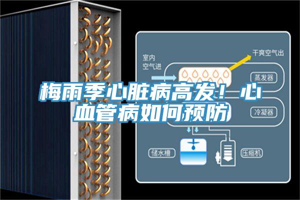梅雨季心臟病高發!心血管病如何預防