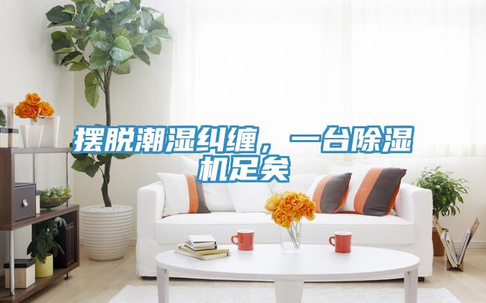 擺脫潮濕糾纏,一臺除濕機足矣