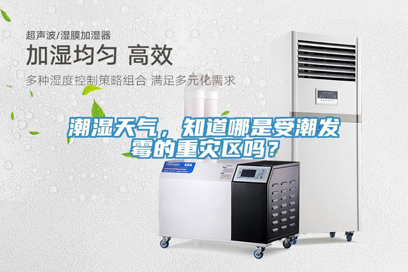 潮濕天氣,知道哪是受潮發霉的重災區嗎?