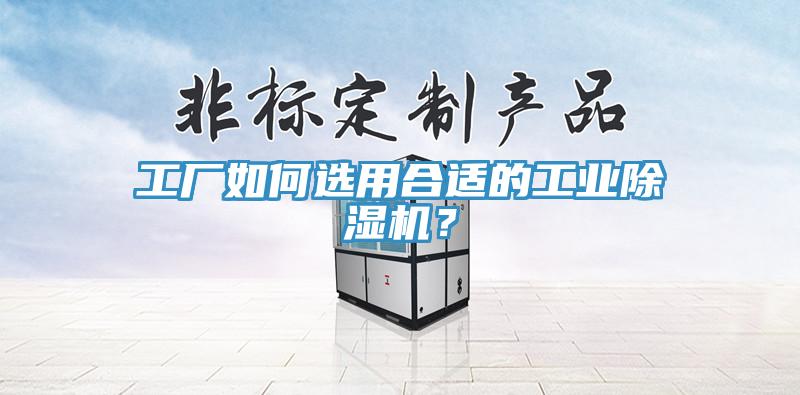 工廠如何選用合適的工業除濕機？