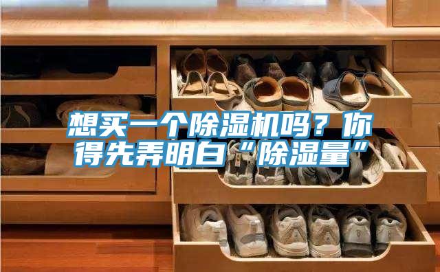 想買(mǎi)一個(gè)除濕機(jī)嗎?你得先弄明白“除濕量”