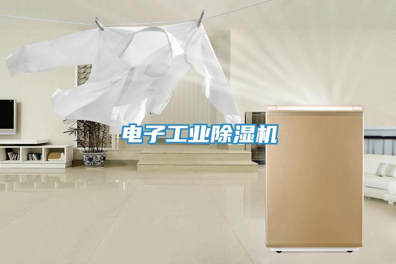 電子工業(yè)除濕機(jī)