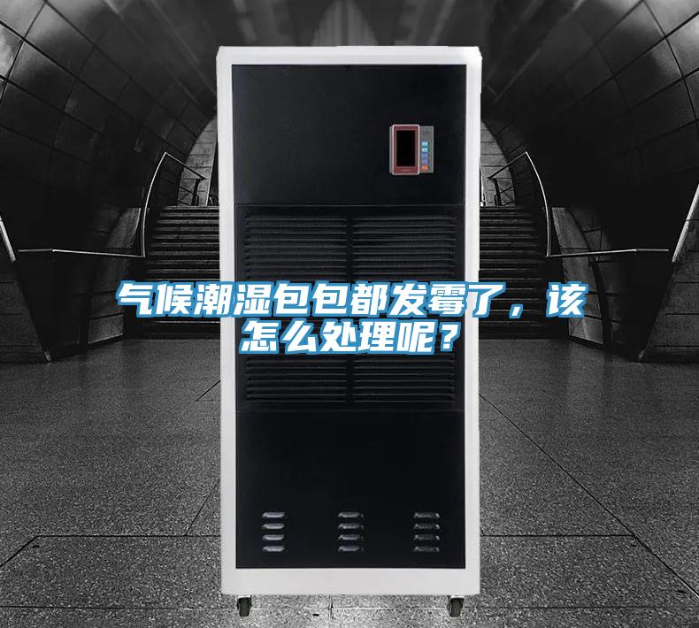 氣候潮濕包包都發(fā)霉了,該怎么處理呢?