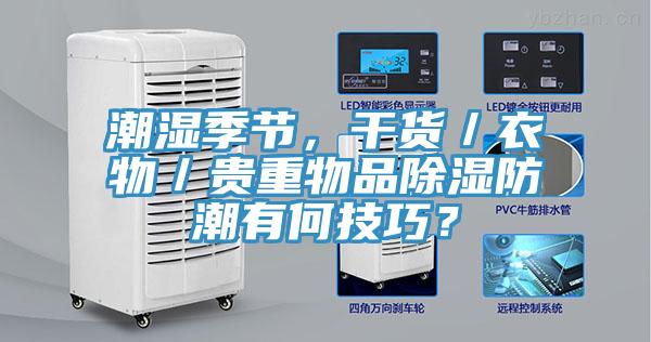 潮濕季節，干貨／衣物／貴重物品除濕防潮有何技巧？