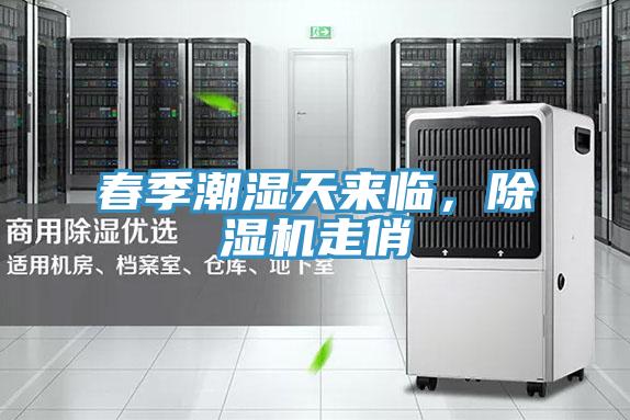 春季潮濕天來臨，除濕機走俏