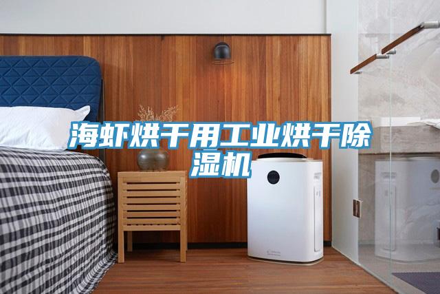 海蝦烘干用工業烘干除濕機