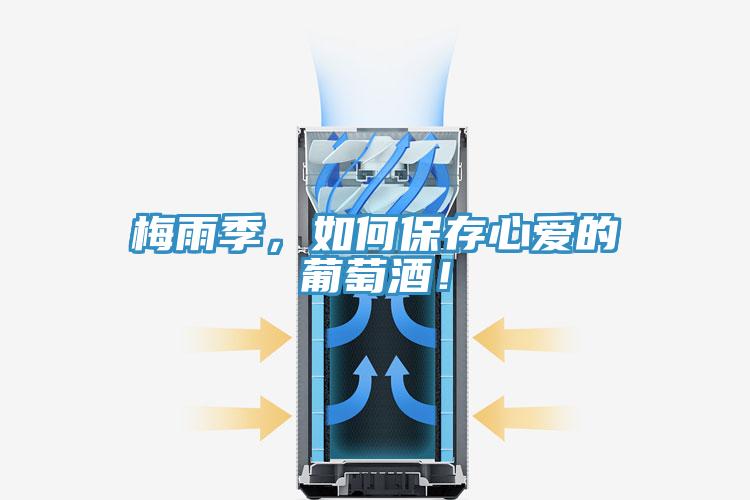 梅雨季，如何保存心愛的葡萄酒！