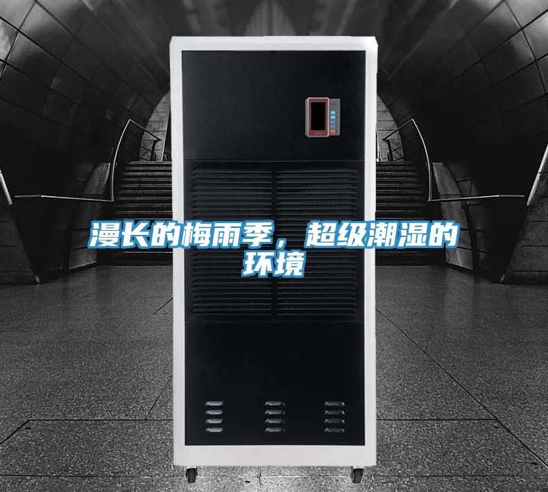 漫長的梅雨季，超級潮濕的環境