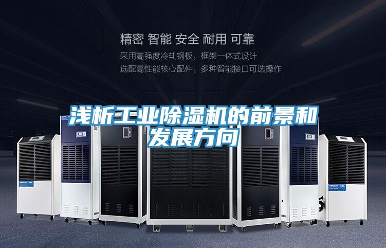 淺析工業(yè)除濕機(jī)的前景和發(fā)展方向