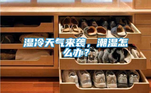 濕冷天氣來襲,潮濕怎么辦?