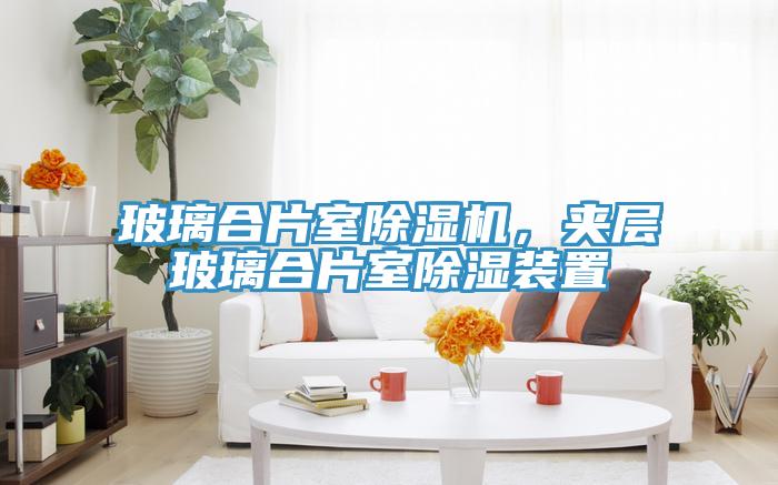 玻璃合片室除濕機，夾層玻璃合片室除濕裝置