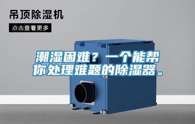 潮濕困難？一個(gè)能幫你處理難題的除濕器。