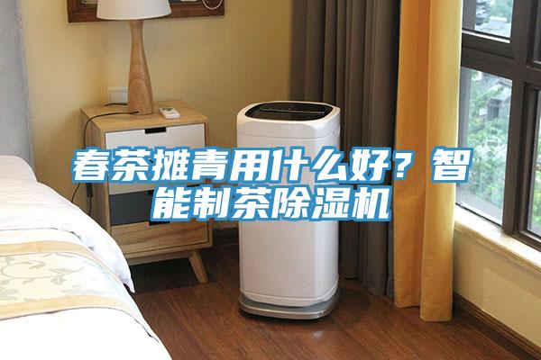 春茶攤青用什么好？智能制茶除濕機