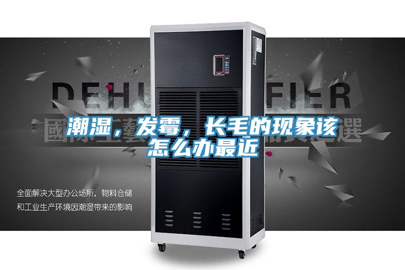 潮濕，發霉，長毛的現象該怎么辦最近