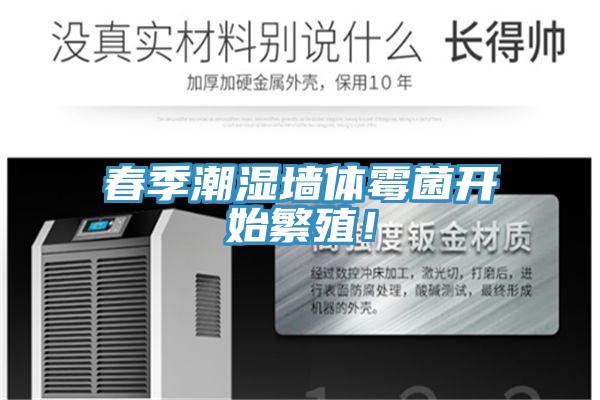 春季潮濕墻體霉菌開始繁殖！