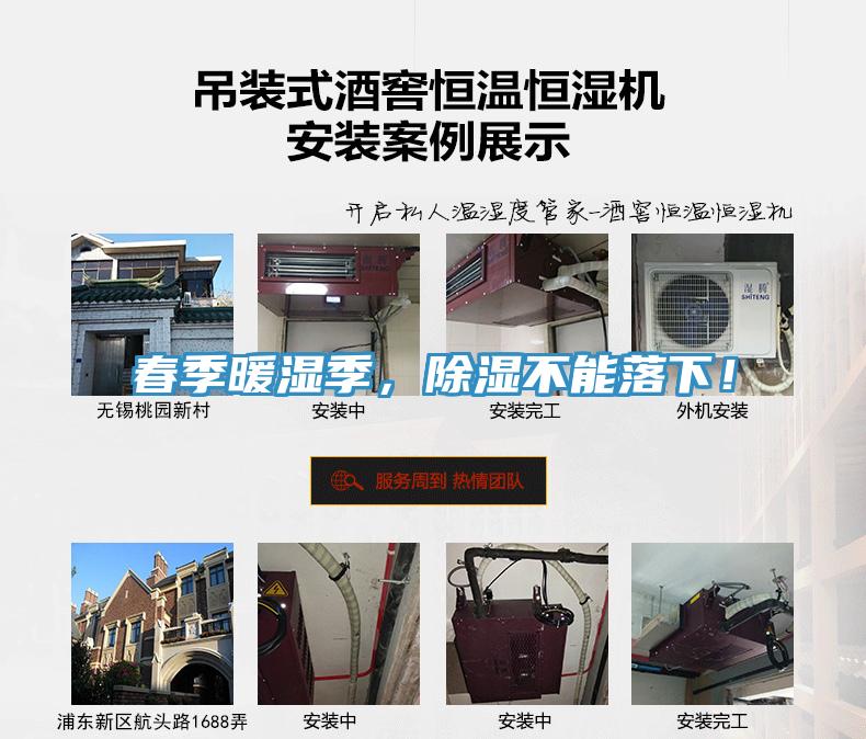 春季暖濕季，除濕不能落下！