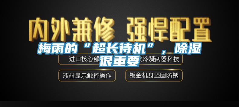 梅雨的“超長待機”,除濕很重要