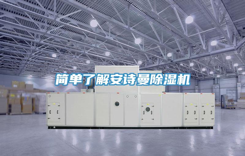 簡(jiǎn)單了解安詩曼除濕機(jī)