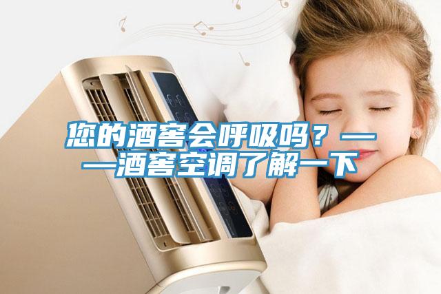 您的酒窖會呼吸嗎?——酒窖空調了解一下