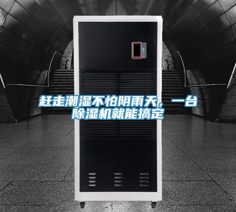 趕走潮濕不怕陰雨天,一臺除濕機就能搞定