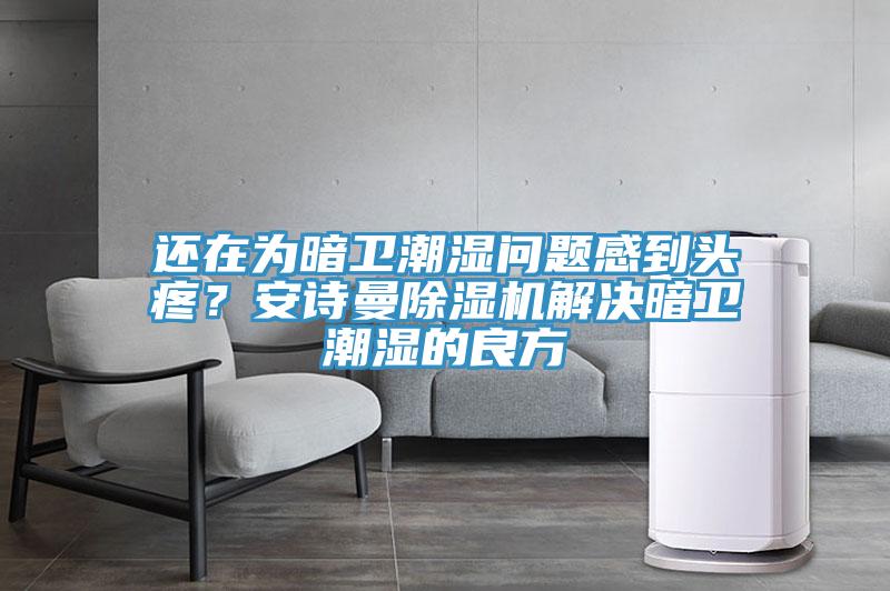 還在為暗衛(wèi)潮濕問題感到頭疼？安詩曼除濕機(jī)解決暗衛(wèi)潮濕的良方