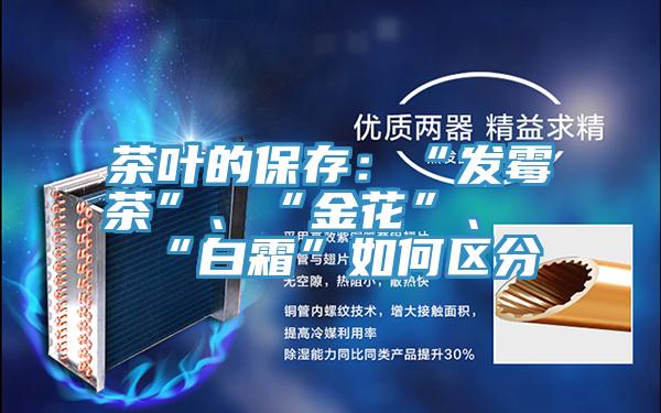 茶葉的保存：“發(fā)霉茶”、“金花”、“白霜”如何區(qū)分
