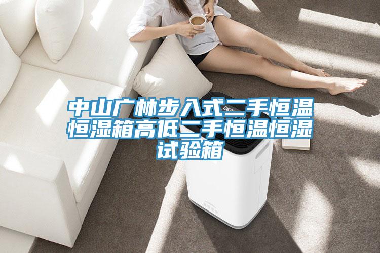 中山廣林步入式二手恒溫恒濕箱高低二手恒溫恒濕試驗箱