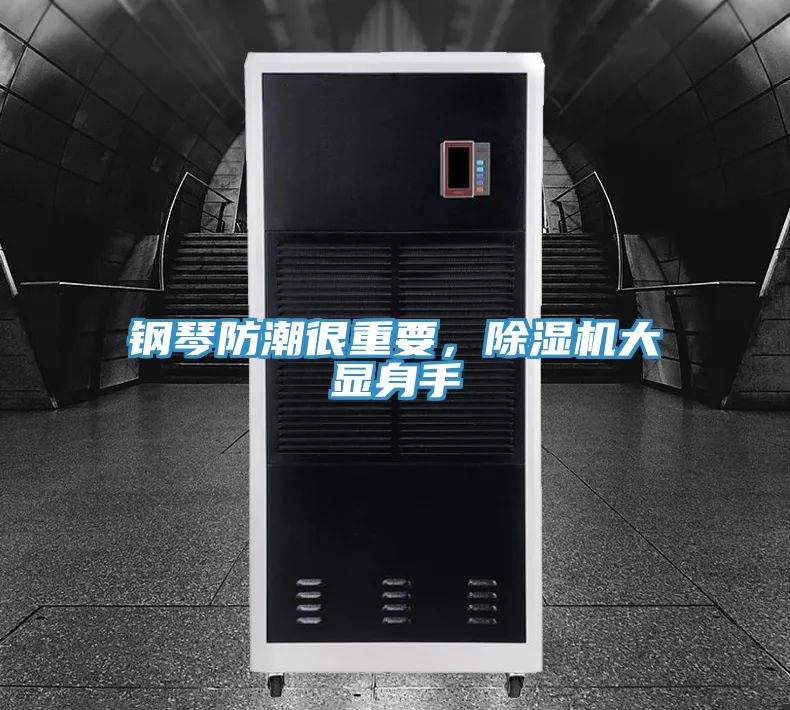 鋼琴防潮很重要，除濕機大顯身手