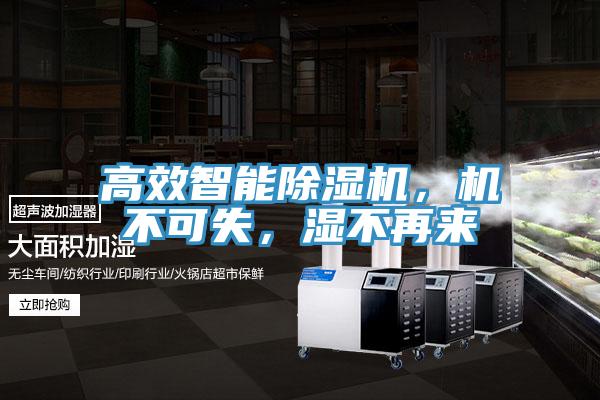高效智能除濕機，機不可失，濕不再來