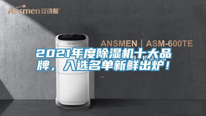 2021年度除濕機十大品牌，入選名單新鮮出爐！