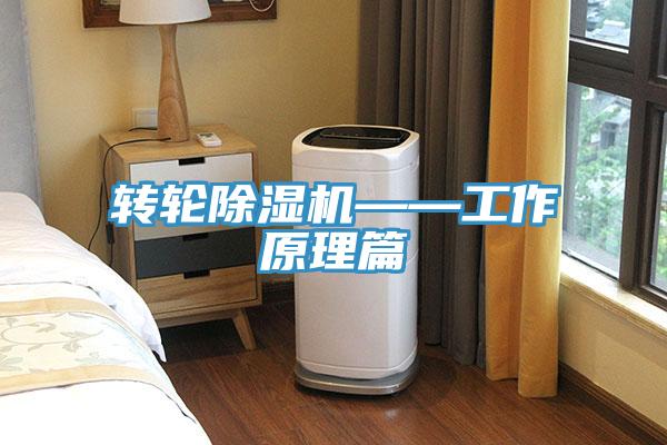轉(zhuǎn)輪除濕機——工作原理篇
