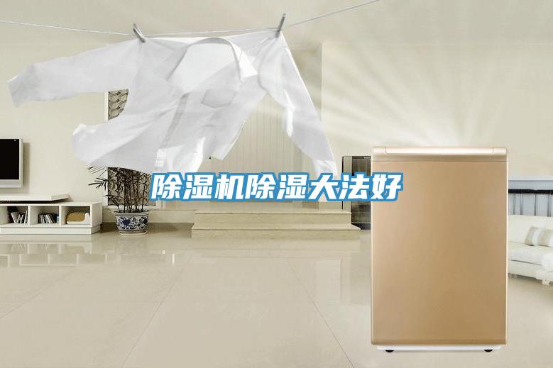 除濕機(jī)除濕大法好