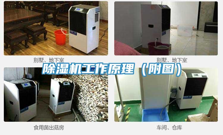 除濕機(jī)工作原理(附圖)