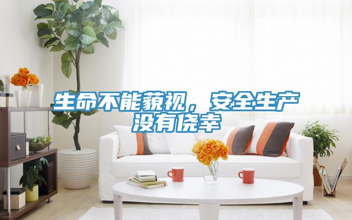 生命不能藐視，安全生產沒有僥幸