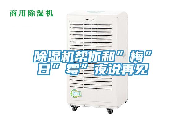 除濕機(jī)幫你和”梅”日”霉”夜說再見