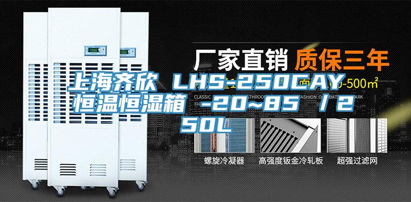 上海齊欣 LHS-250CAY 恒溫恒濕箱 -20~85℃/250L