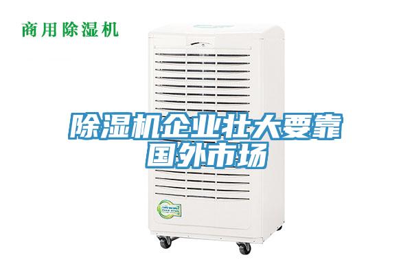 除濕機(jī)企業(yè)壯大要靠國(guó)外市場(chǎng)