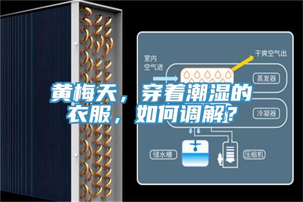 黃梅天，穿著潮濕的衣服，如何調解？