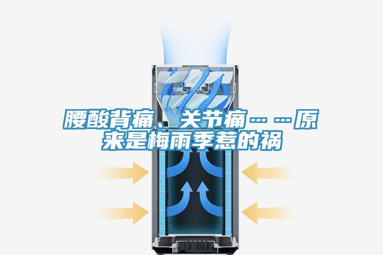 腰酸背痛、關節痛……原來是梅雨季惹的禍