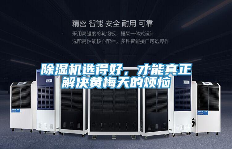 除濕機選得好，才能真正解決黃梅天的煩惱